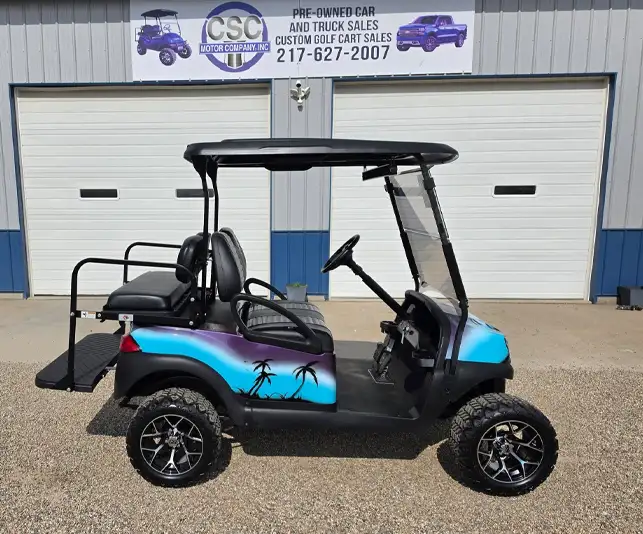Black customized golf cart with teal and purple palm tree airbrushed graphics – CSC Motor Company Springfield, IL