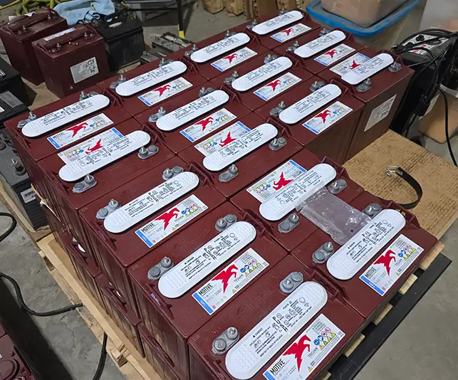 Rows of Trojan deep-cycle batteries staged on pallet in CSC Motor Company's Springfield, IL shop